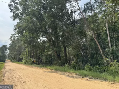 6 80 Ac Scarlet Rd, Lyons, GA 30436 photo 8
