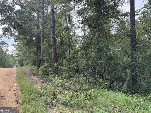 6 80 Ac Scarlet Rd, Lyons, GA 30436 photo 5
