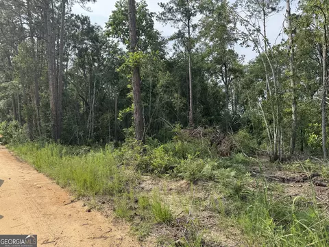 6 80 Ac Scarlet Rd, Lyons, GA 30436 photo 6