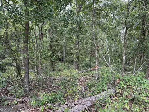 6 80 Ac Scarlet Rd, Lyons, GA 30436 photo 4