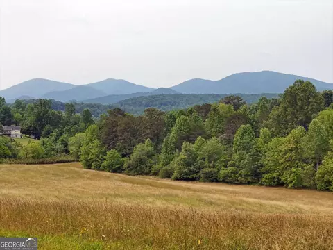 7 85 Ac Lower Trackrock Rd #TR1A71B, Blairsville, GA 30512