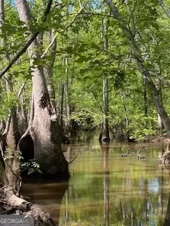 0 Cow Ford Bridge Rd, Kite, GA 31049