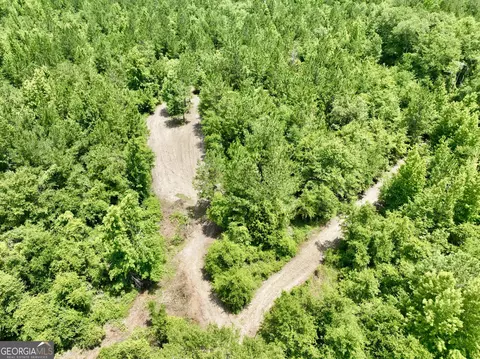 0 Roddy Hwy, Eastman, GA 31023