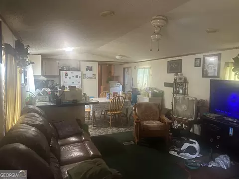 Other - 94 Payne Ln, Carnesville, GA 30521 photo 3 of 9