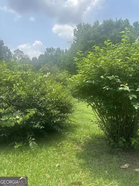 Exterior - 94 Payne Ln, Carnesville, GA 30521 photo 3 of 5