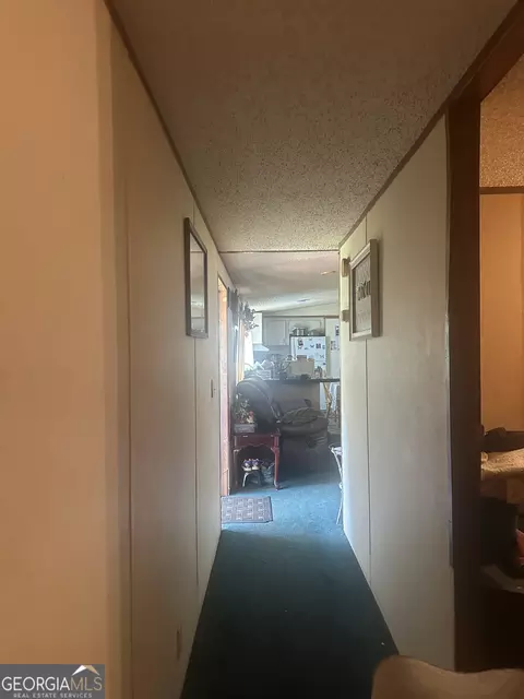 Entry Way - 94 Payne Ln, Carnesville, GA 30521 photo 2 of 2