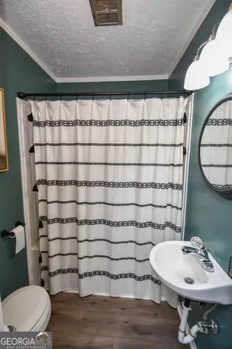 Bath - 120 Chambers Ave, Cornelia, GA 30531 photo 3 of 3