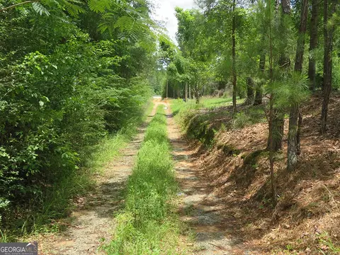 0 Louise Bell Rd, Lumpkin, GA 31815