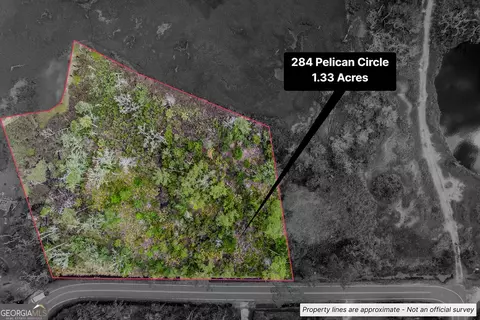 284 Pelican Cir, Woodbine, GA 31569