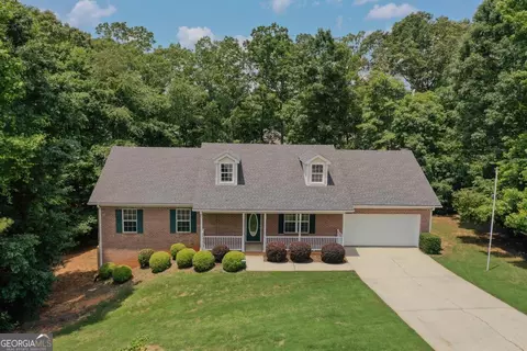 Other - 225 Chinns Way, Hampton, GA 30228 photo 1 of 14