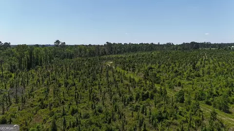 0 Deer Run Rd, Vidalia, GA 30474