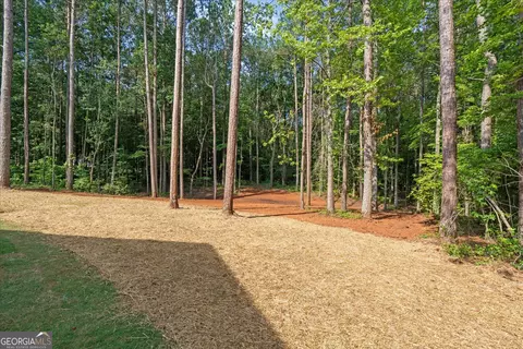 Exterior - 55 Etheridge Rd, Temple, GA 30179 photo 6 of 8