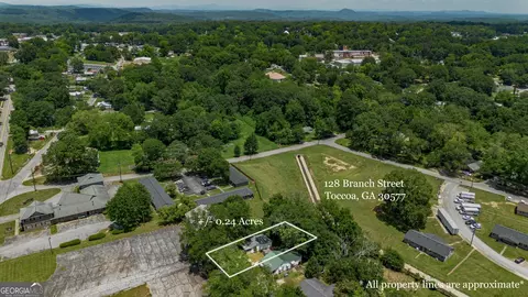 View/Area - 128 Branch St, Toccoa, GA 30577 photo 9 of 9