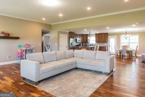 Living - 117 Lovett Scott Rd, Adrian, GA 31002 photo 3 of 4