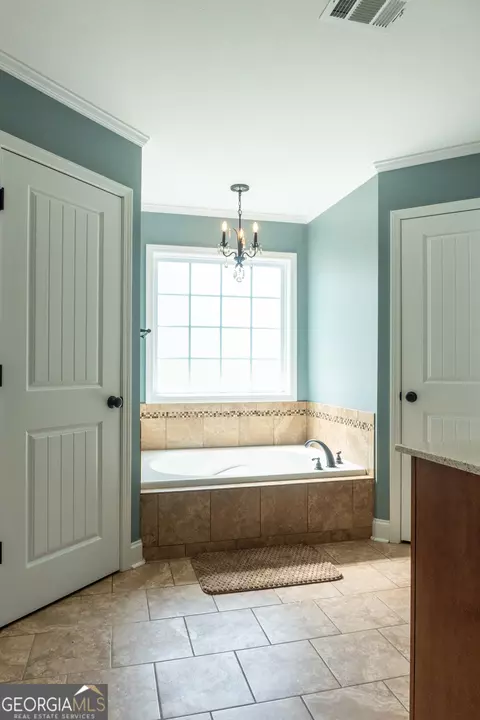 Bath - 117 Lovett Scott Rd, Adrian, GA 31002 photo 7 of 8