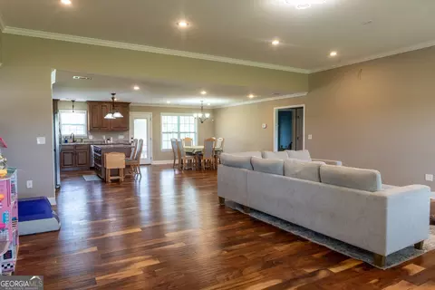 Living - 117 Lovett Scott Rd, Adrian, GA 31002 photo 1 of 4