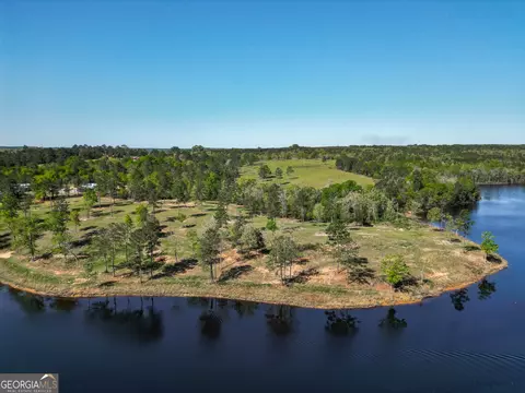 1009 Walter Wells Rd, Buena Vista, GA 31803