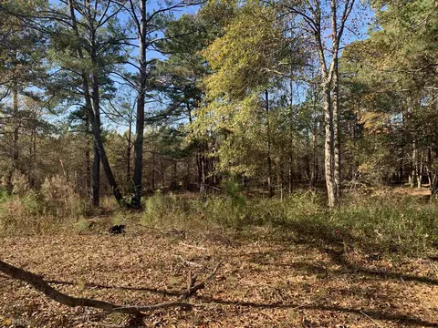 10142 Washington St, Covington, GA 30014 photo 8
