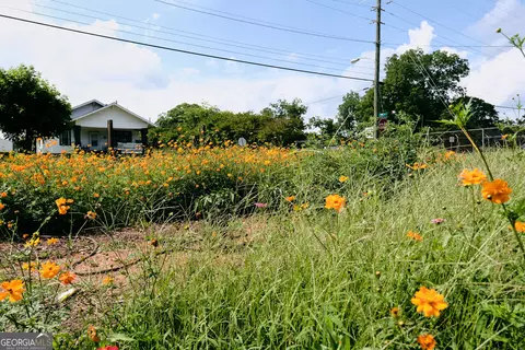 Other - 8 D Ave, Thomaston, GA 30286 photo 5 of 5