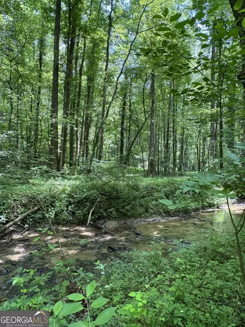 0 Long Branch Rd, Ranger, GA 30734