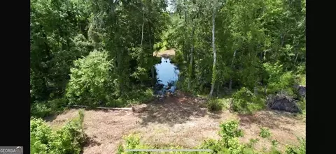 0 Bennett Colter Rd, Cadwell, GA 31009