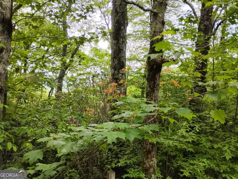 0 Lot 51 Bayberry Ln, Sky Valley, GA 30537
