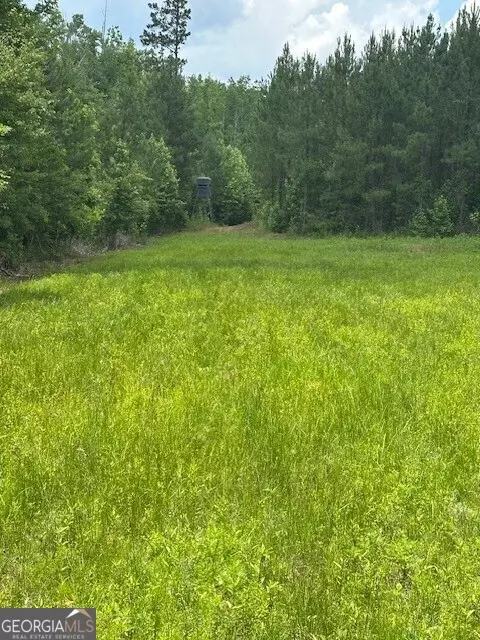 0 Jordan Rd, Waverly Hall, GA 31831