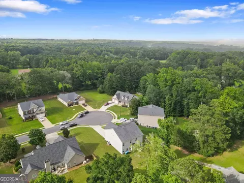 140 Canyons Ct, Hampton, GA 30228 photo 45