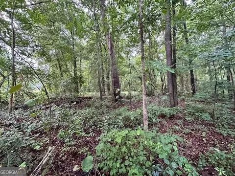 0 Nowhere Rd, Nicholson, GA 30565
