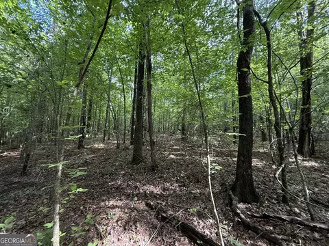 9 07 Acres Us Highway 80 W #LOT 1, Roberta, GA 31078
