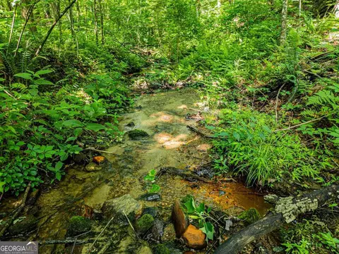 144 St Andrews Way #144, Ellijay, GA 30536
