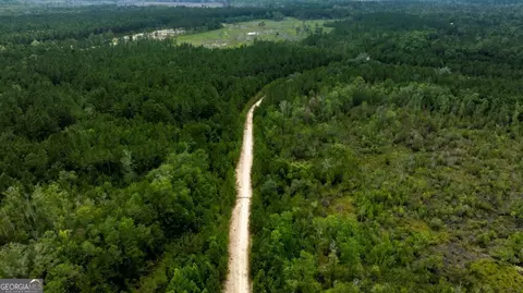 0 Luke Habersham Rds, Midway, GA 31320 photo 20
