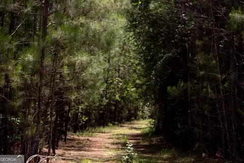0 Luke Habersham Rds, Midway, GA 31320 photo 31