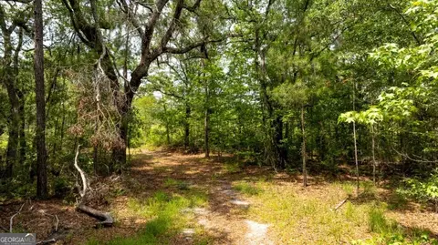 0 Luke Habersham Rds, Midway, GA 31320 photo 27