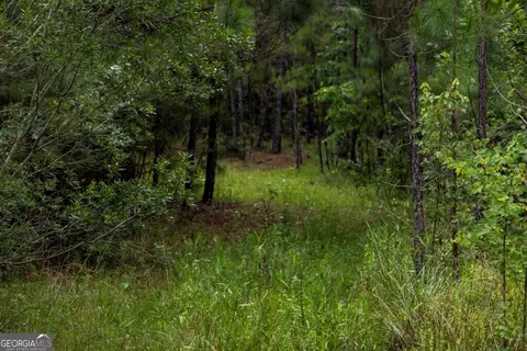 0 Luke Habersham Rds, Midway, GA 31320 photo 28