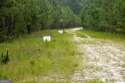 0 Luke Habersham Rds, Midway, GA 31320 photo 23