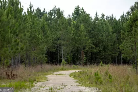 0 Luke Habersham Rds, Midway, GA 31320 photo 25