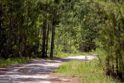 0 Luke Habersham Rds, Midway, GA 31320 photo 32