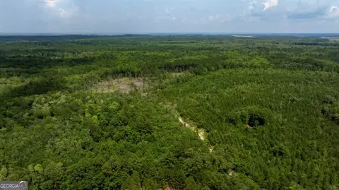 0 Luke Habersham Rds, Midway, GA 31320 photo 18