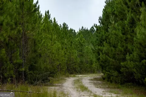 0 Luke Habersham Rds, Midway, GA 31320 photo 24
