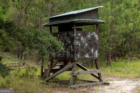 0 Luke Habersham Rds, Midway, GA 31320 photo 22