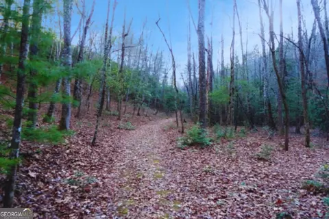 Undisclosed, Hayesville, NC 28904