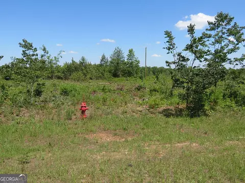 0 Ebenezer Rd, Ellaville, GA 31806