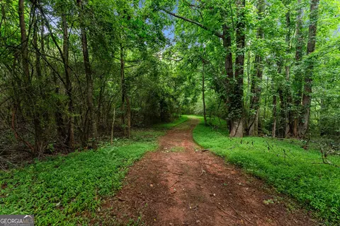 Other - 429 Hubert Harris Rd, Cornelia, GA 30531 photo 31 of 35