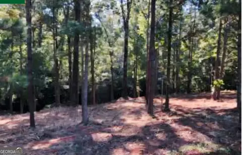 122 Laurel Rdg, Forsyth, GA 31029