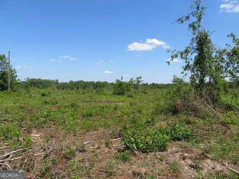 1 Goolsby Rd, Ellaville, GA 31806