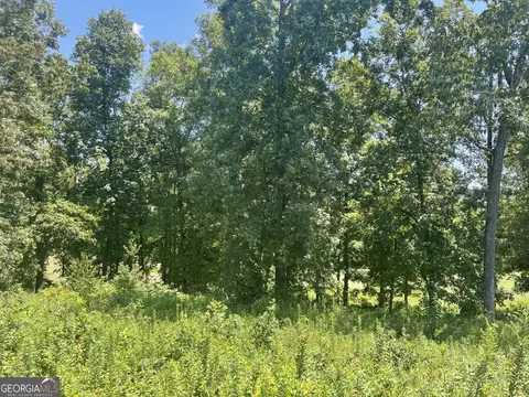 lot11 Oak Dr, Hawkinsville, GA 31036