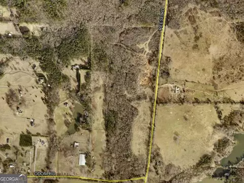0 Odom Rd, Senoia, GA 30276