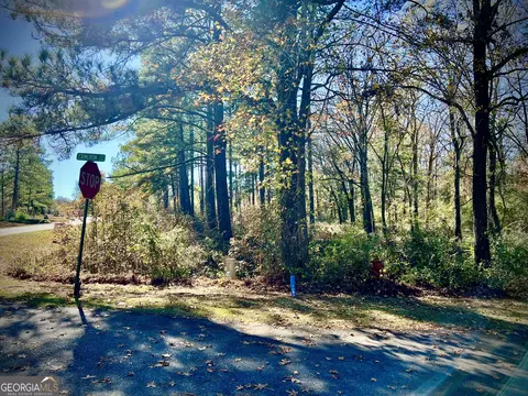 0 Cameron Ct, Dublin, GA 31021 photo 6