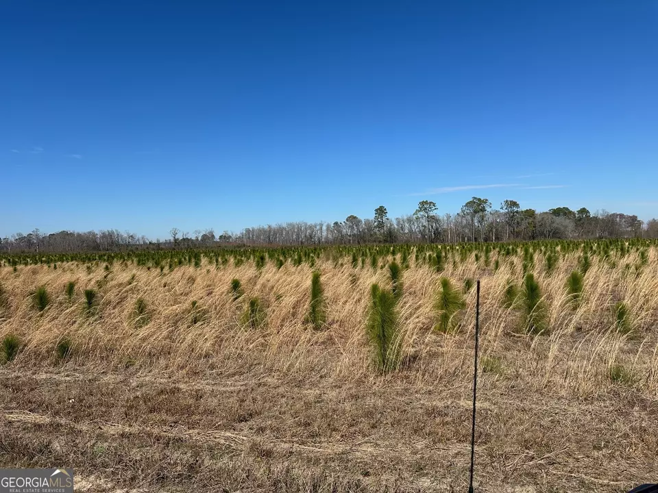  2000 Sellers Rd NW # -4, Baxley, GA 31513 photo 10